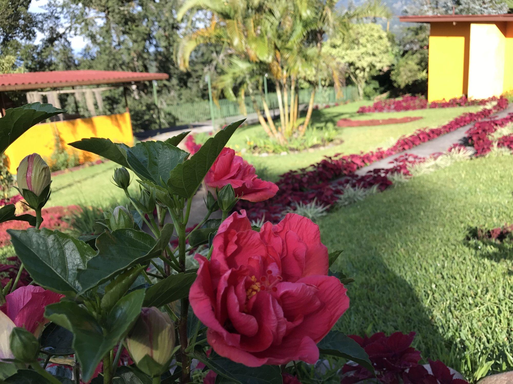 Santuario Lodge Agro-Hotel Boquete Luaran gambar