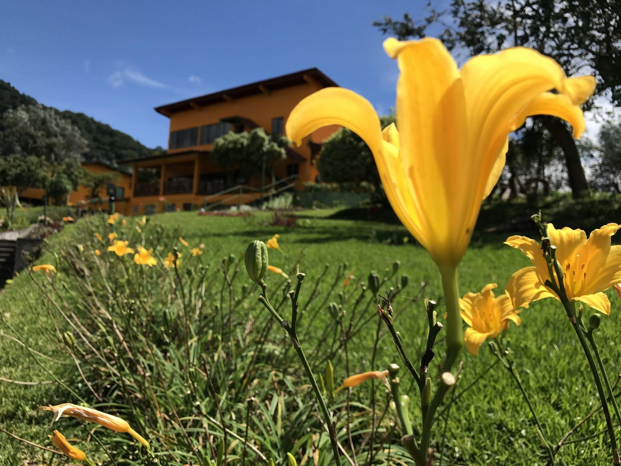 Santuario Lodge Agro-Hotel Boquete Luaran gambar